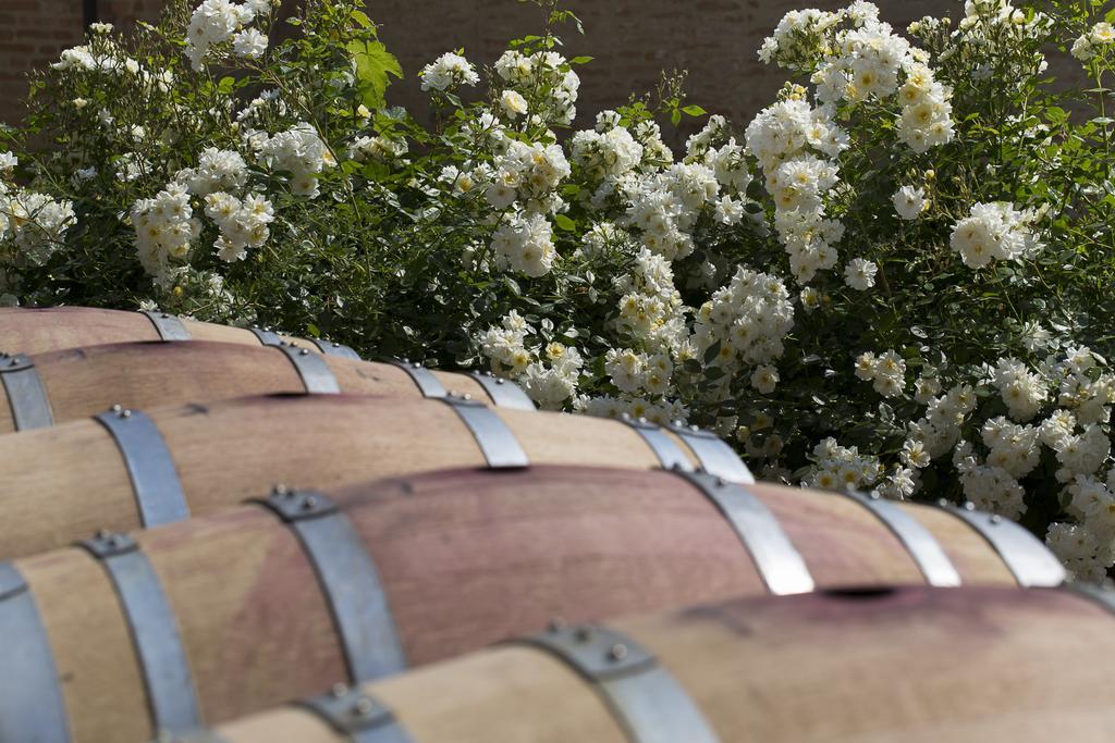 Marchesi Alfieri - Cantine E Ospitalita San Martino Alfieri Екстер'єр фото