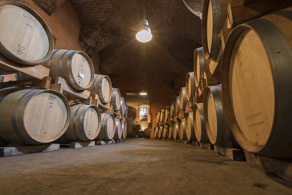 Marchesi Alfieri - Cantine E Ospitalita San Martino Alfieri Екстер'єр фото